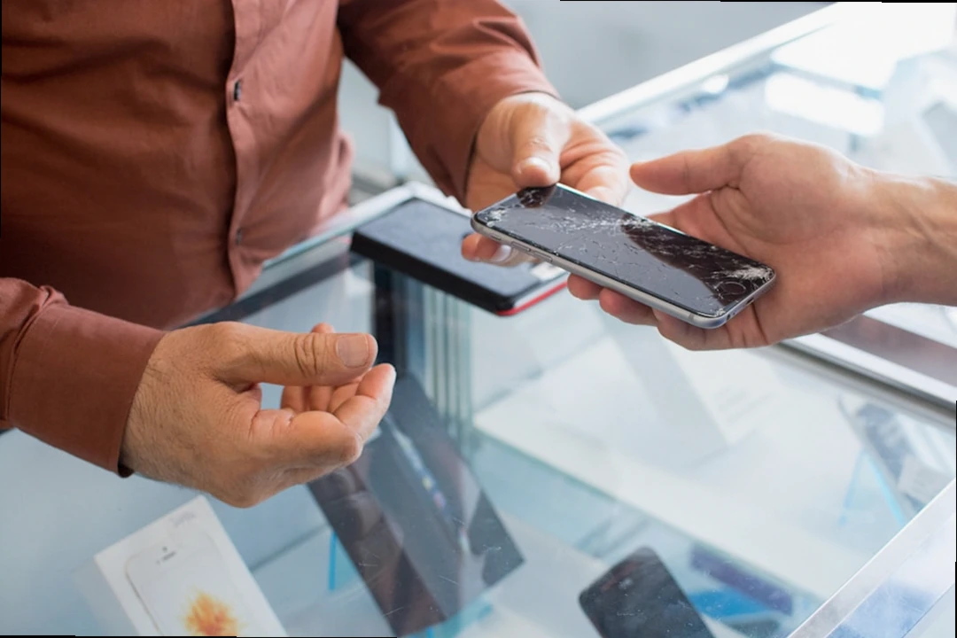 대전 서구 신청 방법 온라인 오프라인 이미지