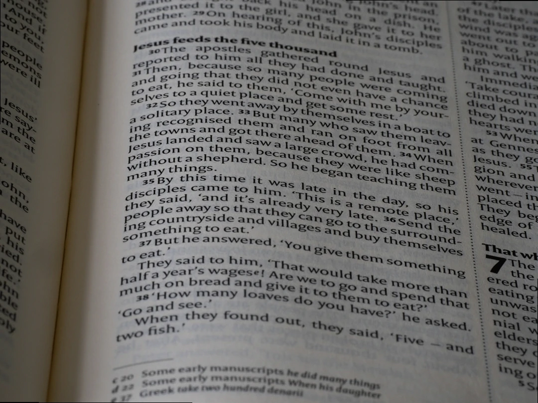 대전 서구 소상공인 경영안정자금 공고문 이미지