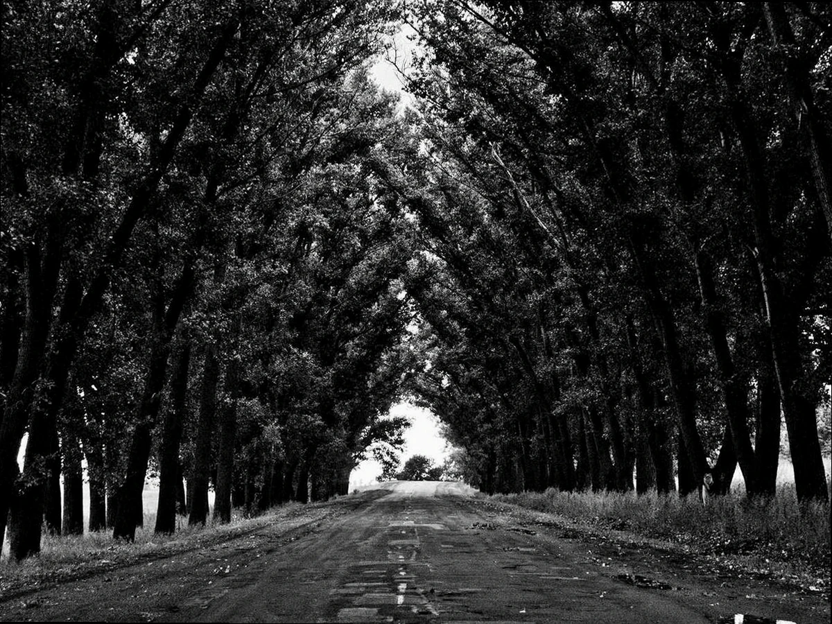 경기 북부 2026년 글로벌 IP스타기업 육성 모집 공고 목표와 비전 이미지