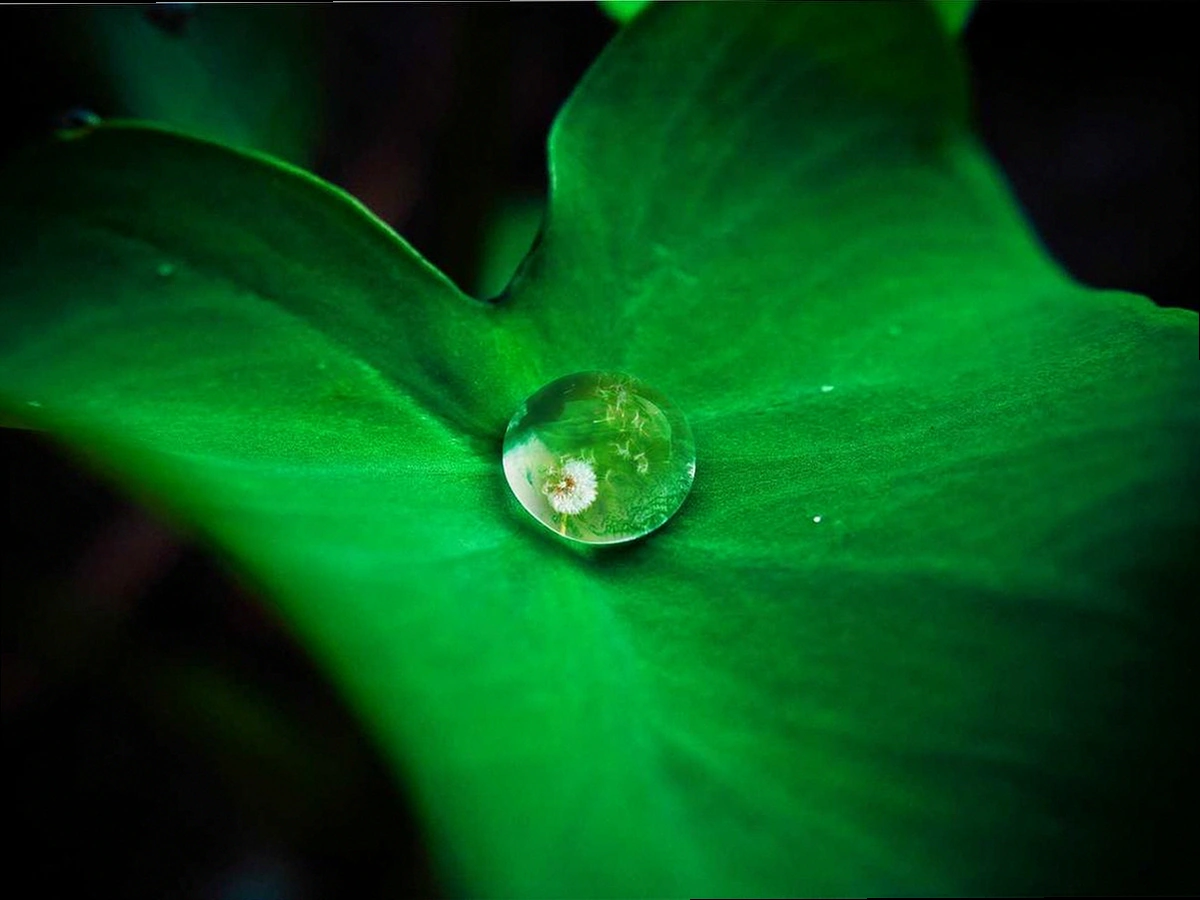 지원 대상 기업의 해외 진출을 형상화한 이미지, 경기 북부 2026년 글로벌 IP스타기업 육성 모집 공고
