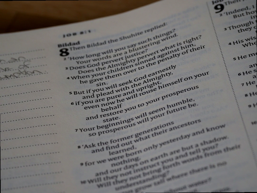 제외 대상 및 가점 항목을 설명하는 표 이미지, 희망리턴패키지 재기사업화 경영개선