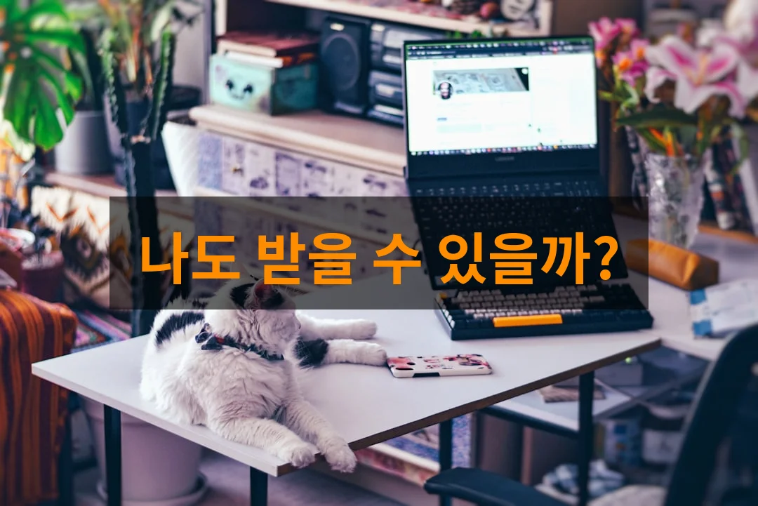 소상공인이라면 필독! 2026 고용보험 지원 대상 및 조건 최신 정리