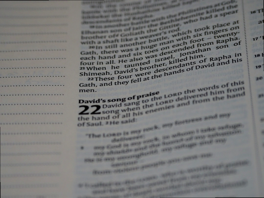 사업 공고문과 법률 서류 확인 장면, 2026년 초기창업패키지